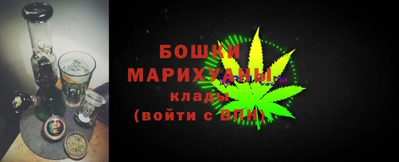 блэк спрут   Курчатов  Бошки Шишки SATIVA & INDICA 